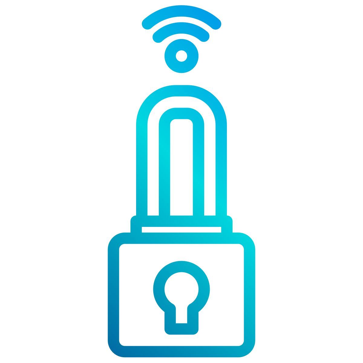lock icon