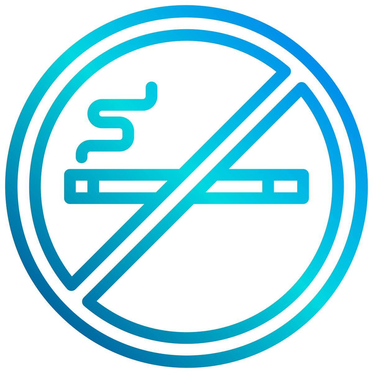vietato fumare icon