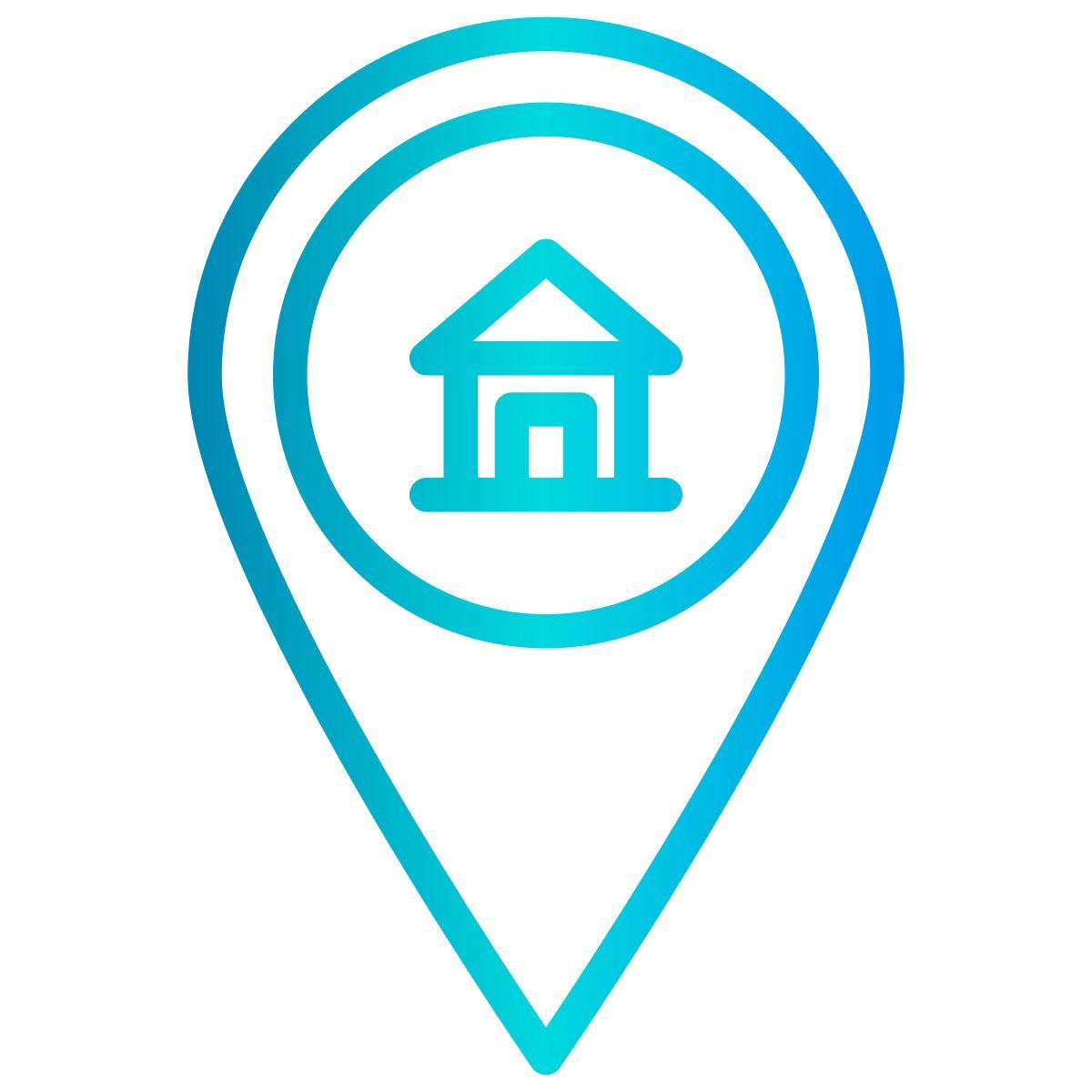 pin icon