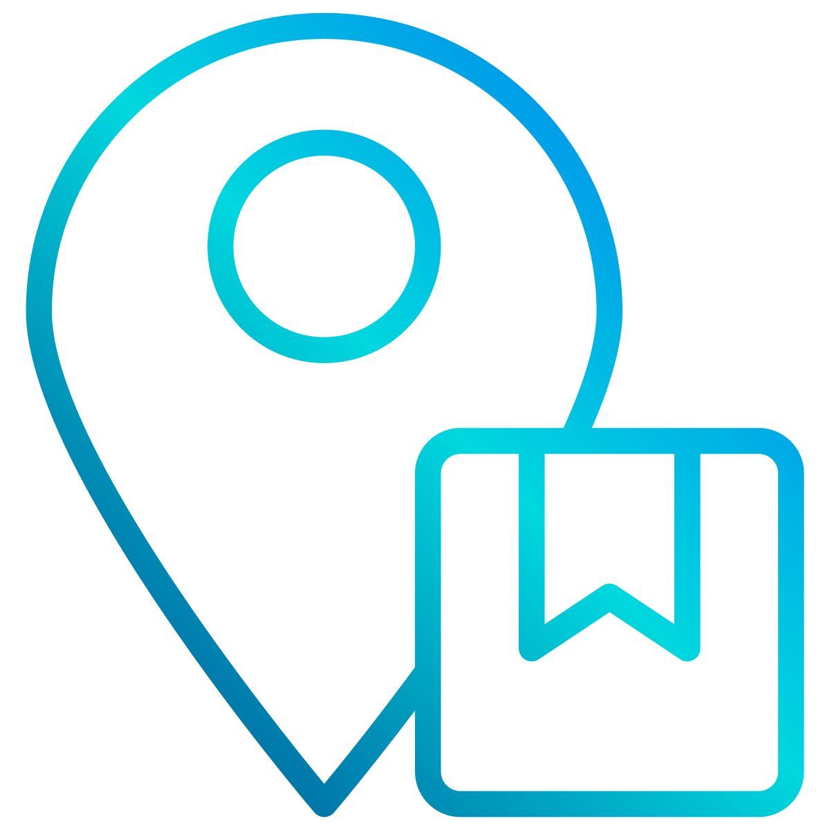 pin icon