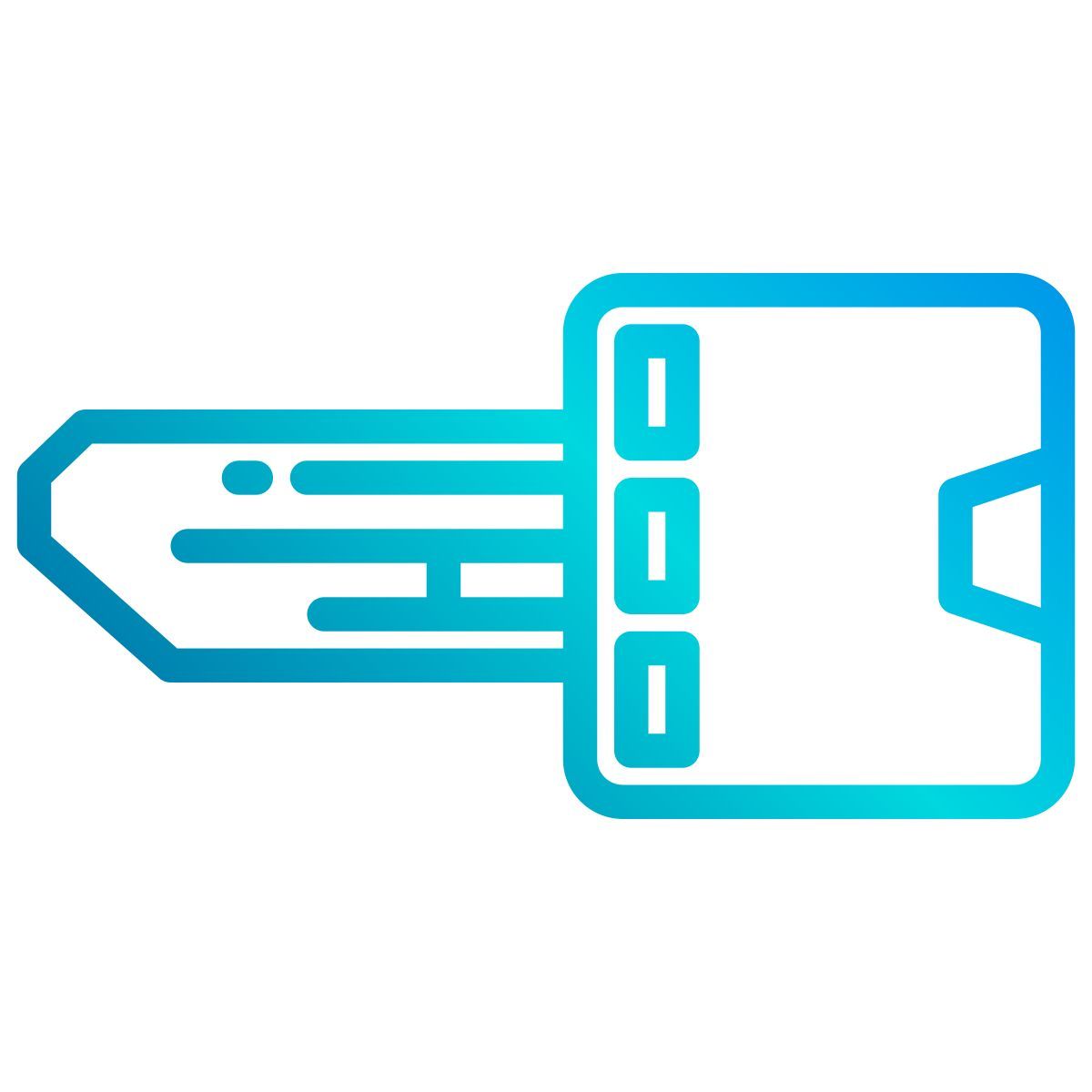 smart key icon