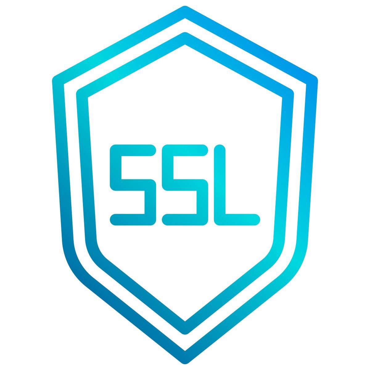 ssl icon