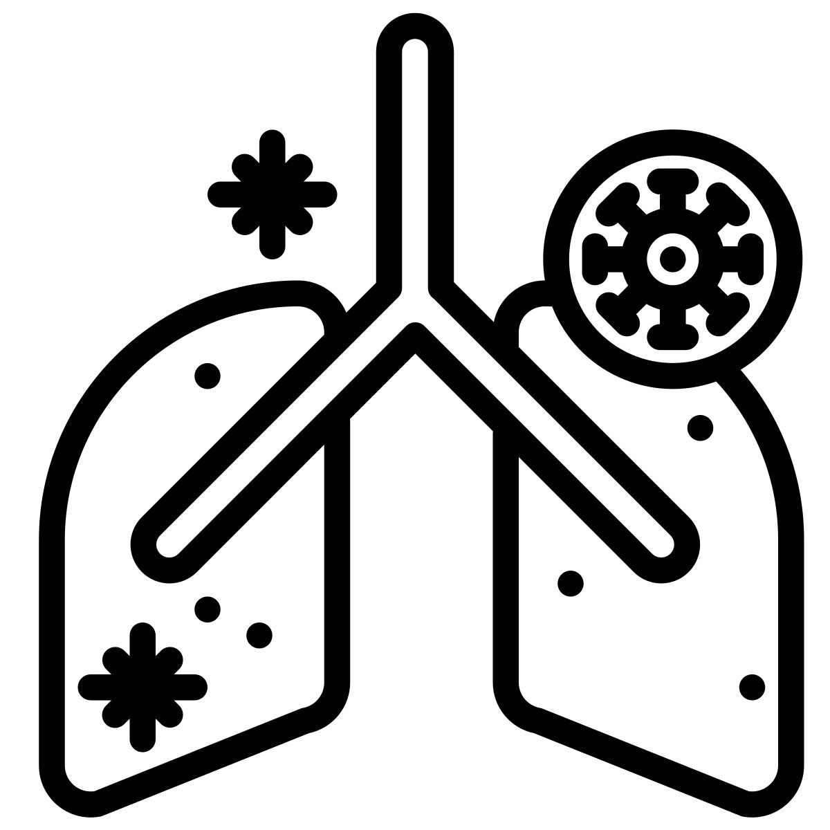 anatomy icon