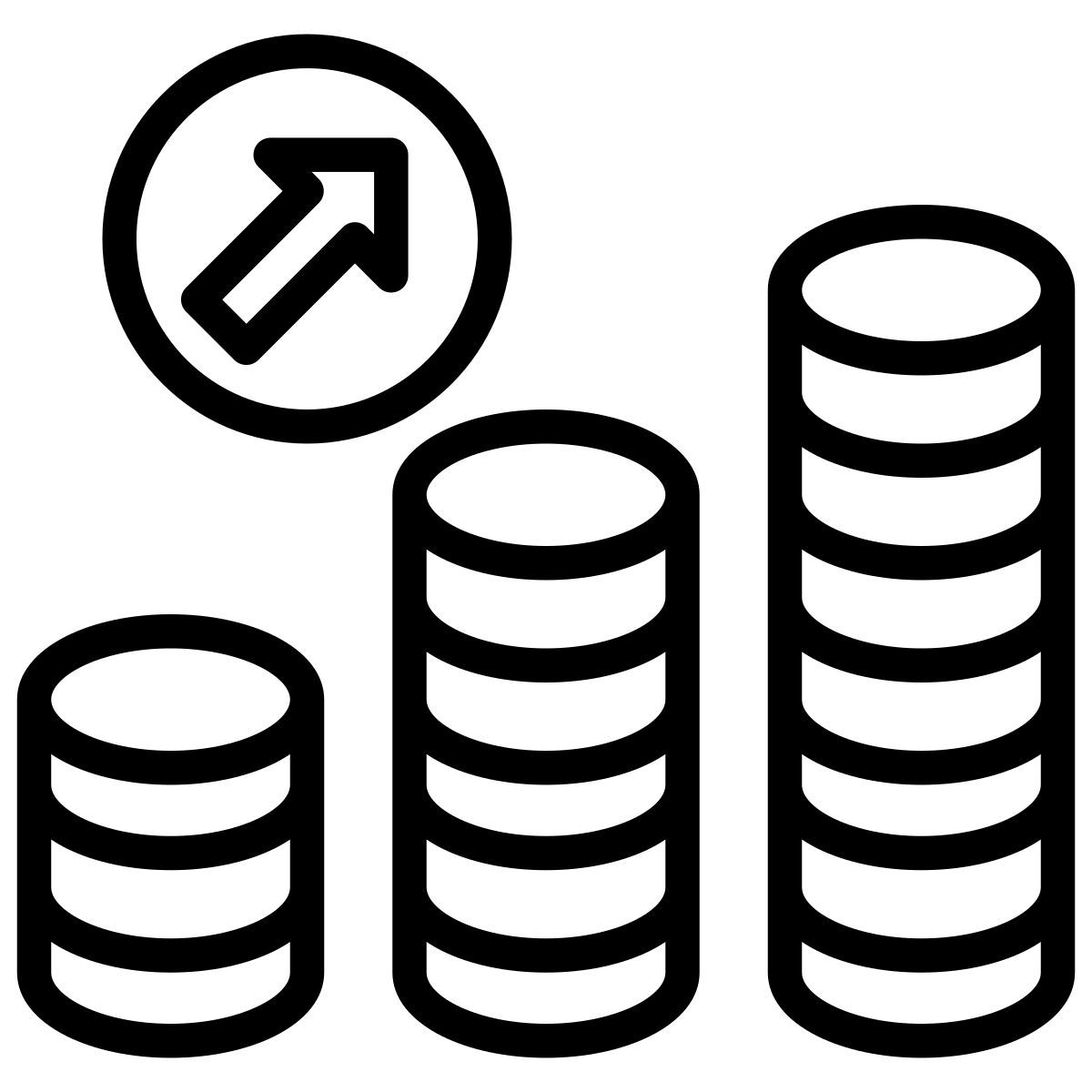 cash icon