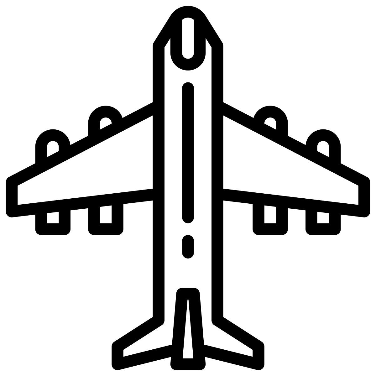 plane icon