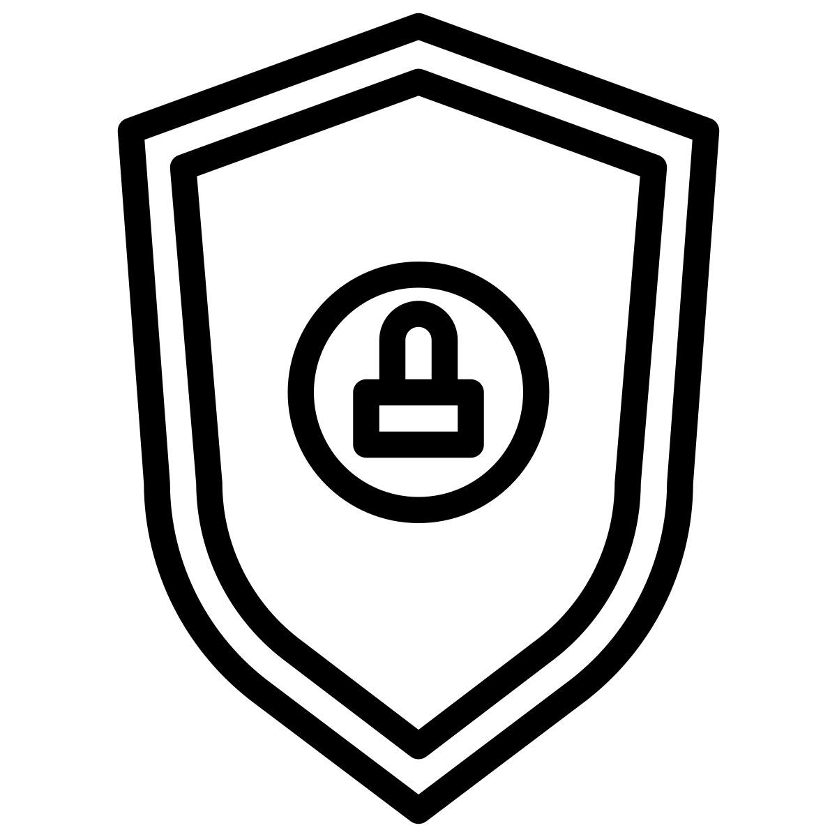 shield icon