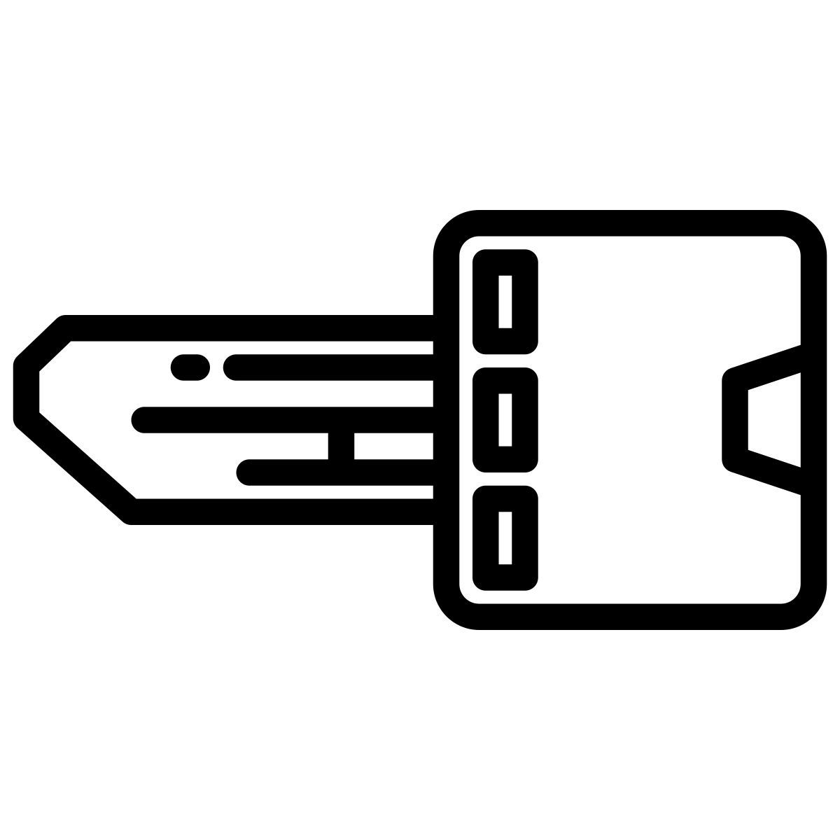 smart key icon