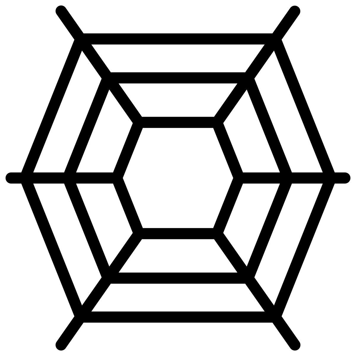 spider web icon