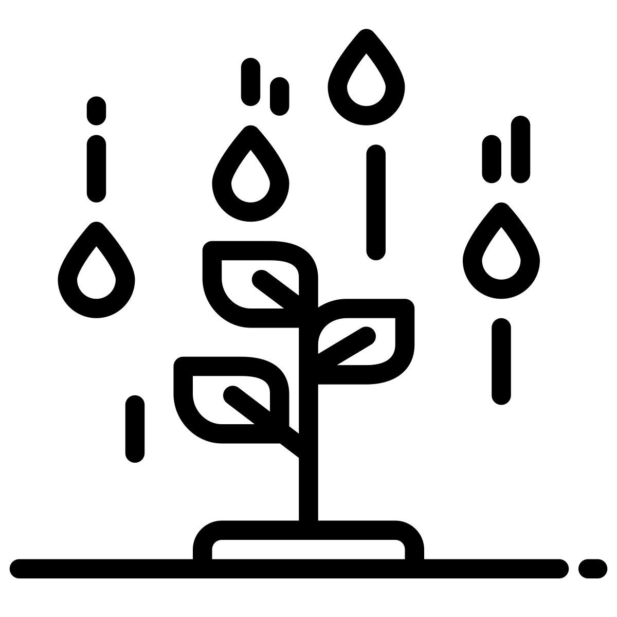 sprout icon
