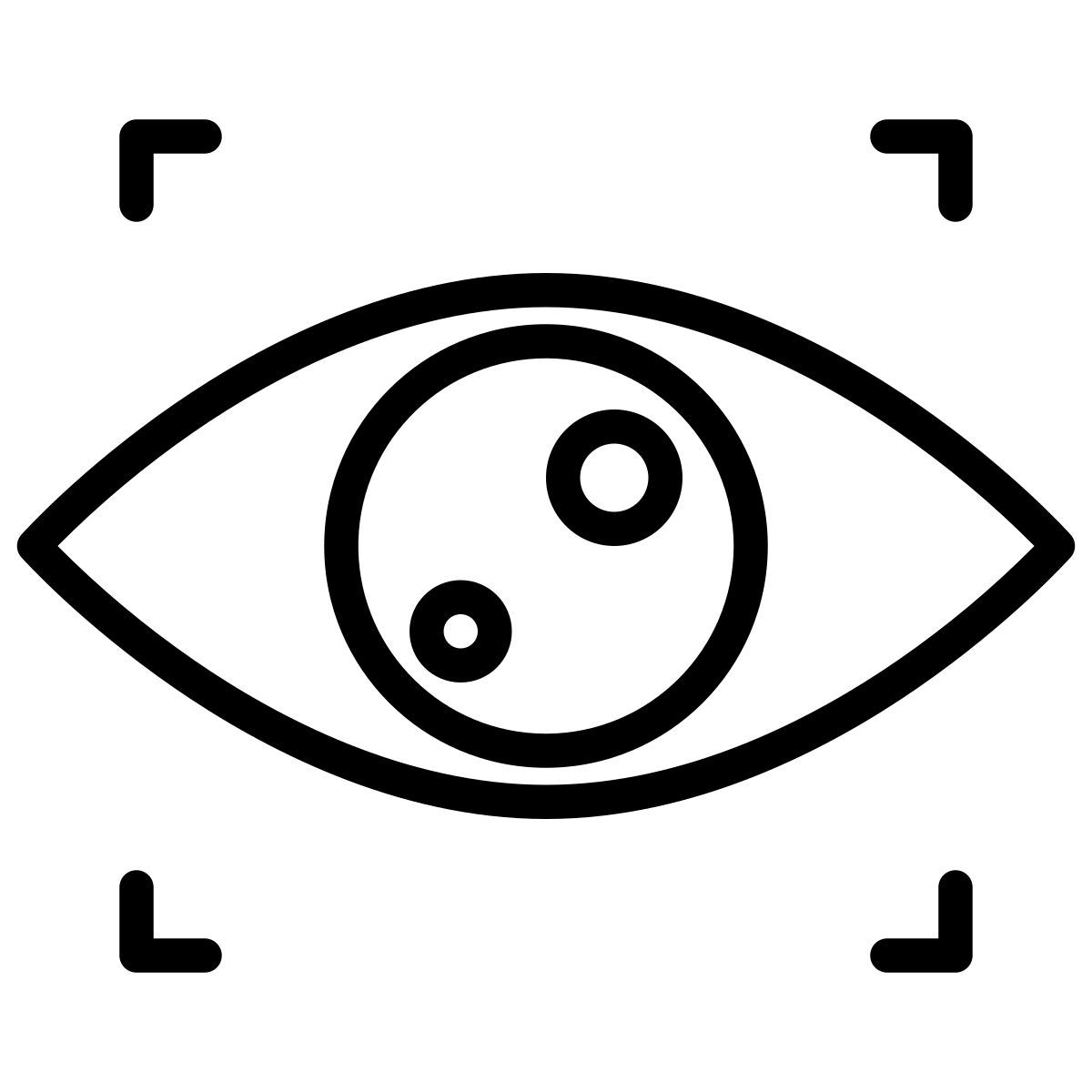 vision icon