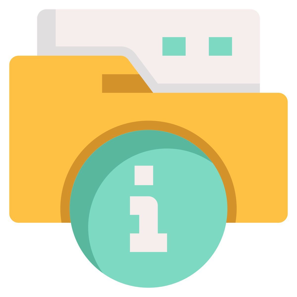 folder info icon