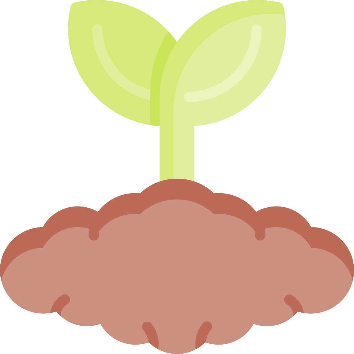 sprout icon
