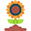 external sunflower-springtime-yogi-aprelliyanto-flat-yogi-aprelliyanto icon