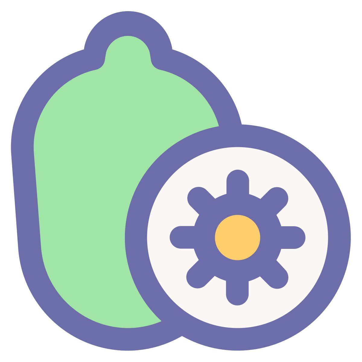 kiwi icon