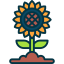 external sunflower-springtime-yogi-aprelliyanto-outline-color-yogi-aprelliyanto icon