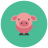 pig icon