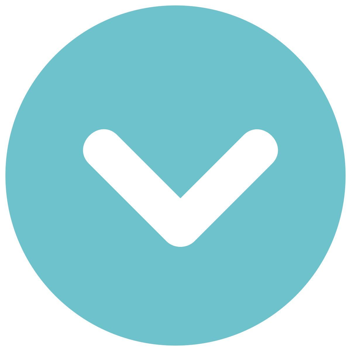 infographic style développer icon