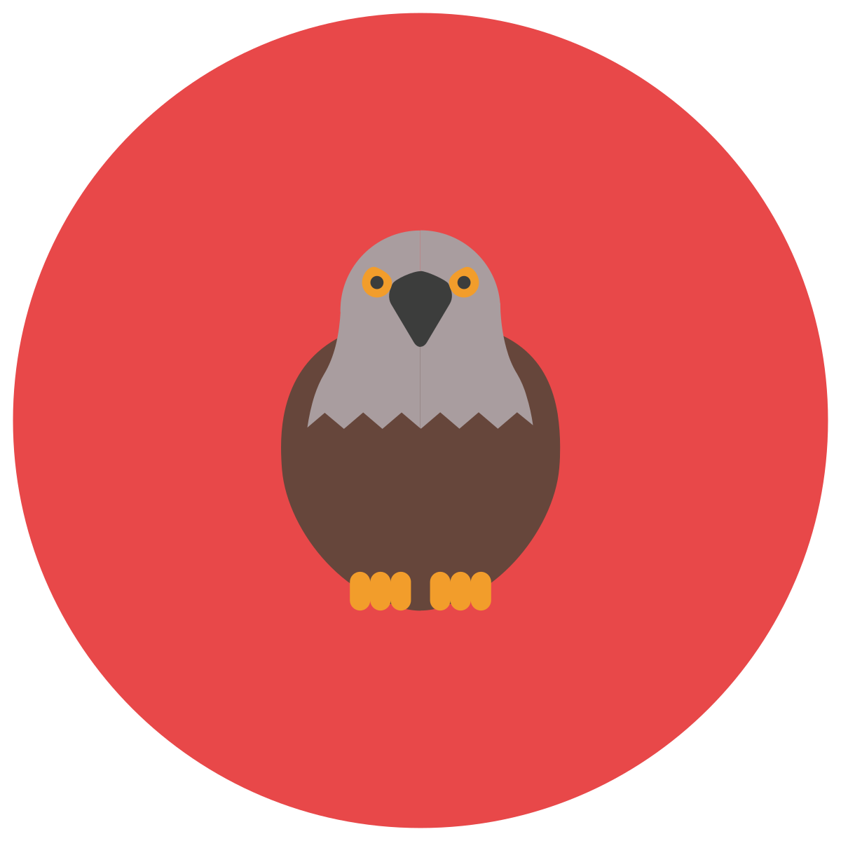 infographic style falcon icon