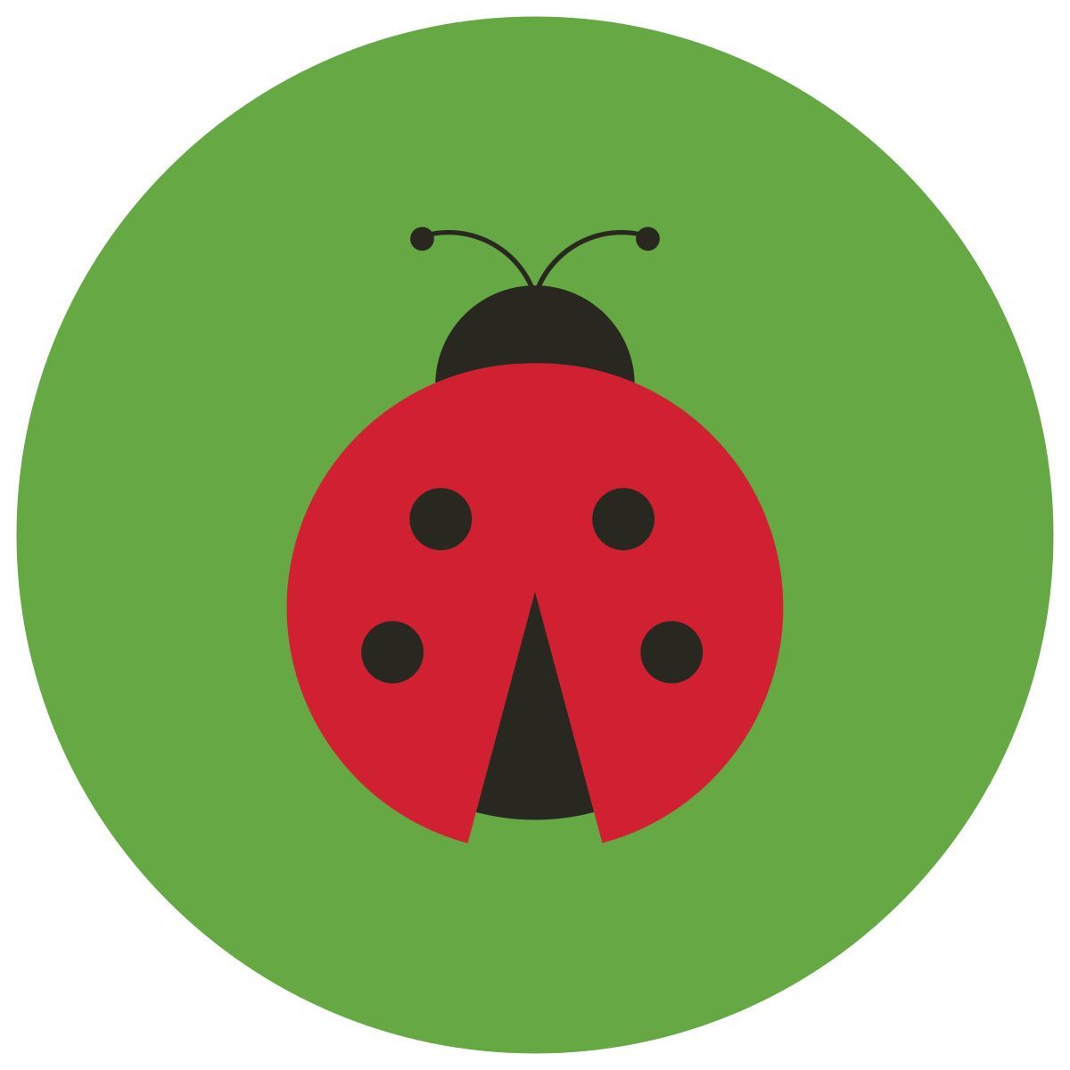 infographic style insekt icon