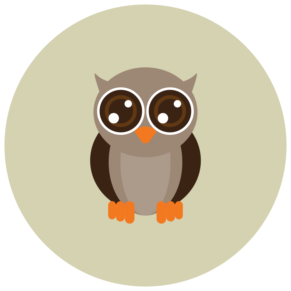 infographic style owl icon