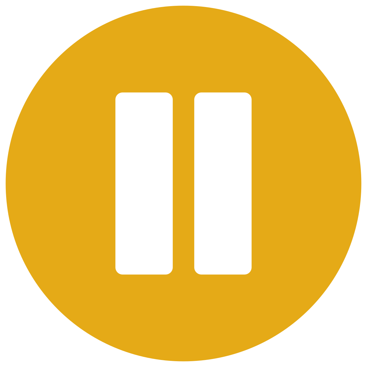 infographic style pause icon