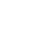 WordPress Expert