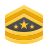 Сержант-майор сухопутных войск Армии США icon