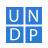 UNDP icon