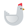 chicken icon