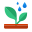 Saplings Distributed