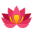 Authority Icon