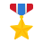 Medal Icon