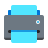 Print or Use