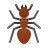 ant