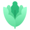 Leafy Greens