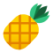 Tropical Fruits
