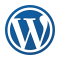 WordPress Theme