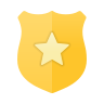 Criminal Verification