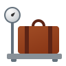 baggage-weight