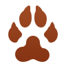 dog-footprint