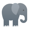 Safari 3D