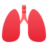 Respiratory Health