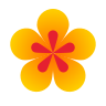 الصحة والجمال