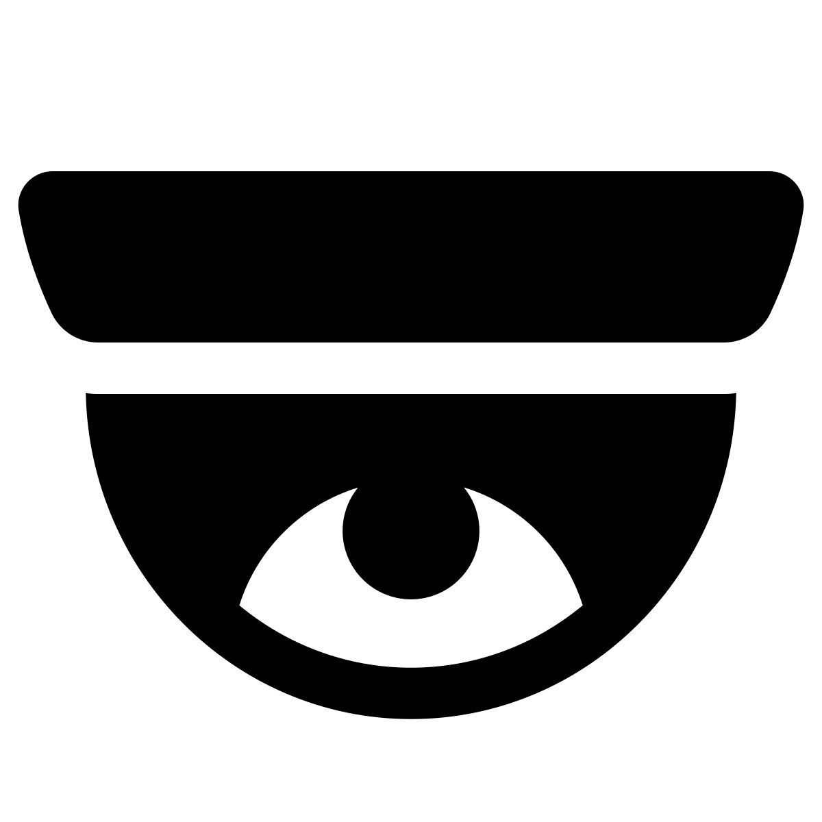 windows 11 filled style dome kamera icon