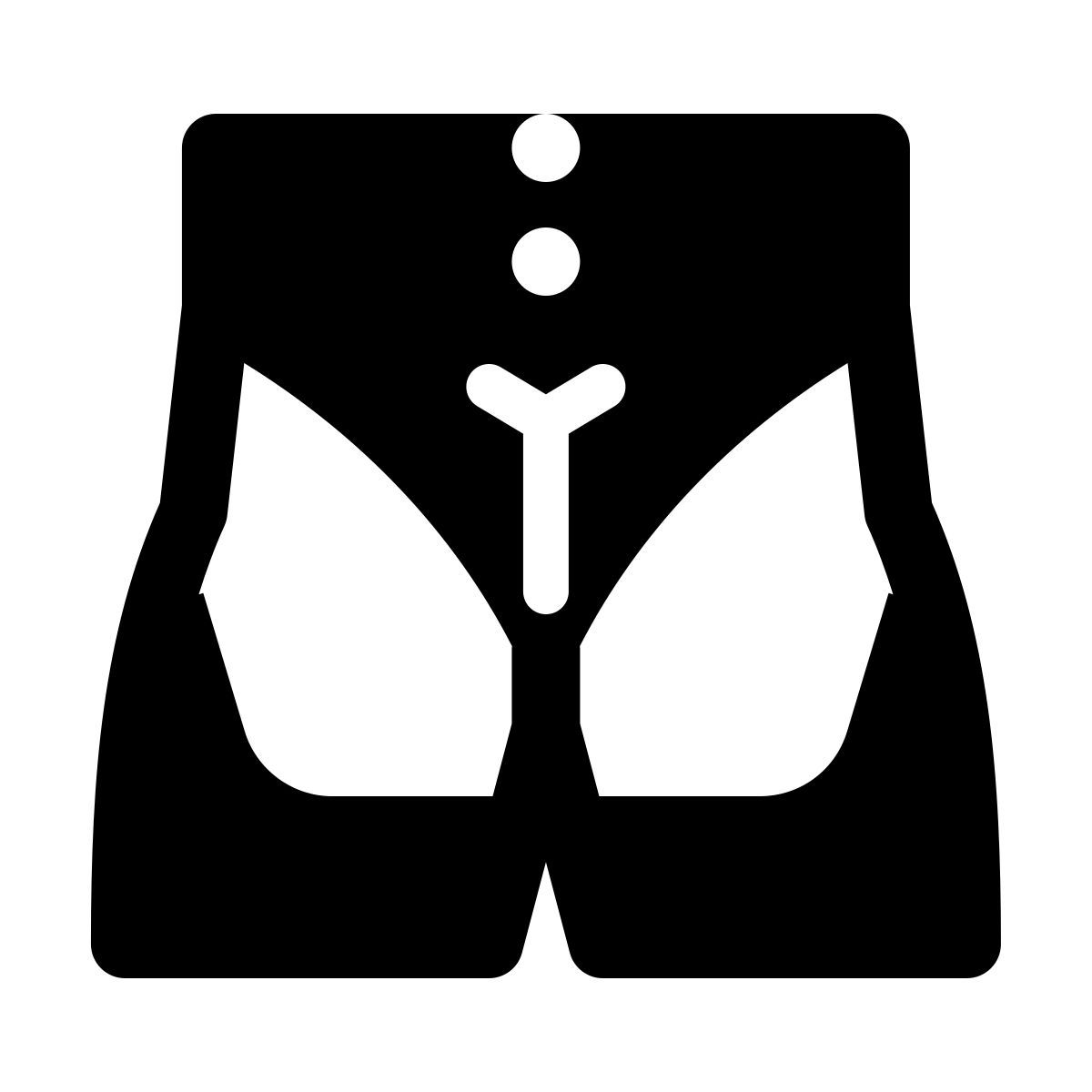 windows 11 filled style fessiers icon