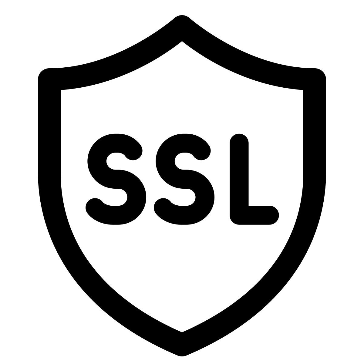 windows 11 outline style segurança ssl icon