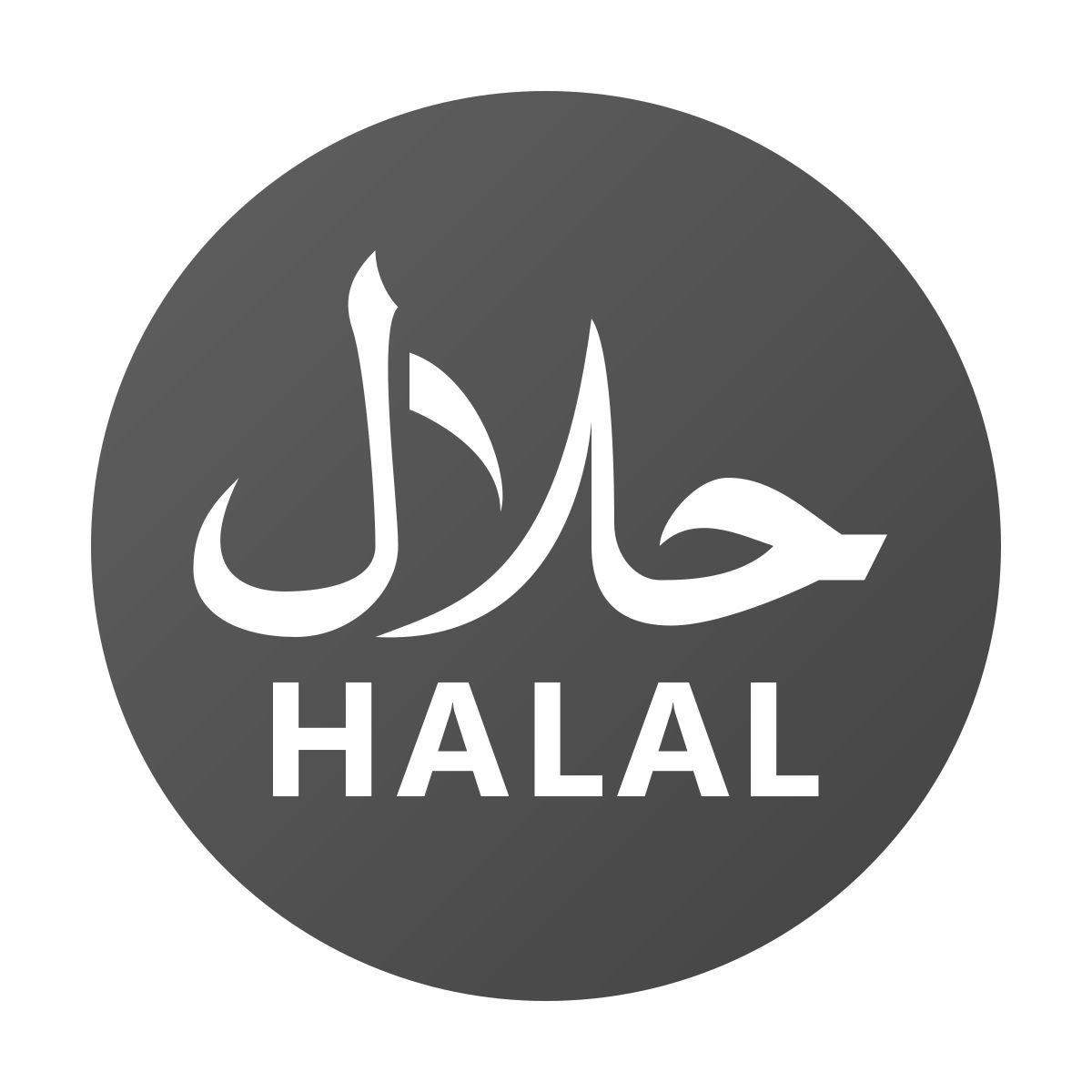 windows 11 color style halal zeichen icon