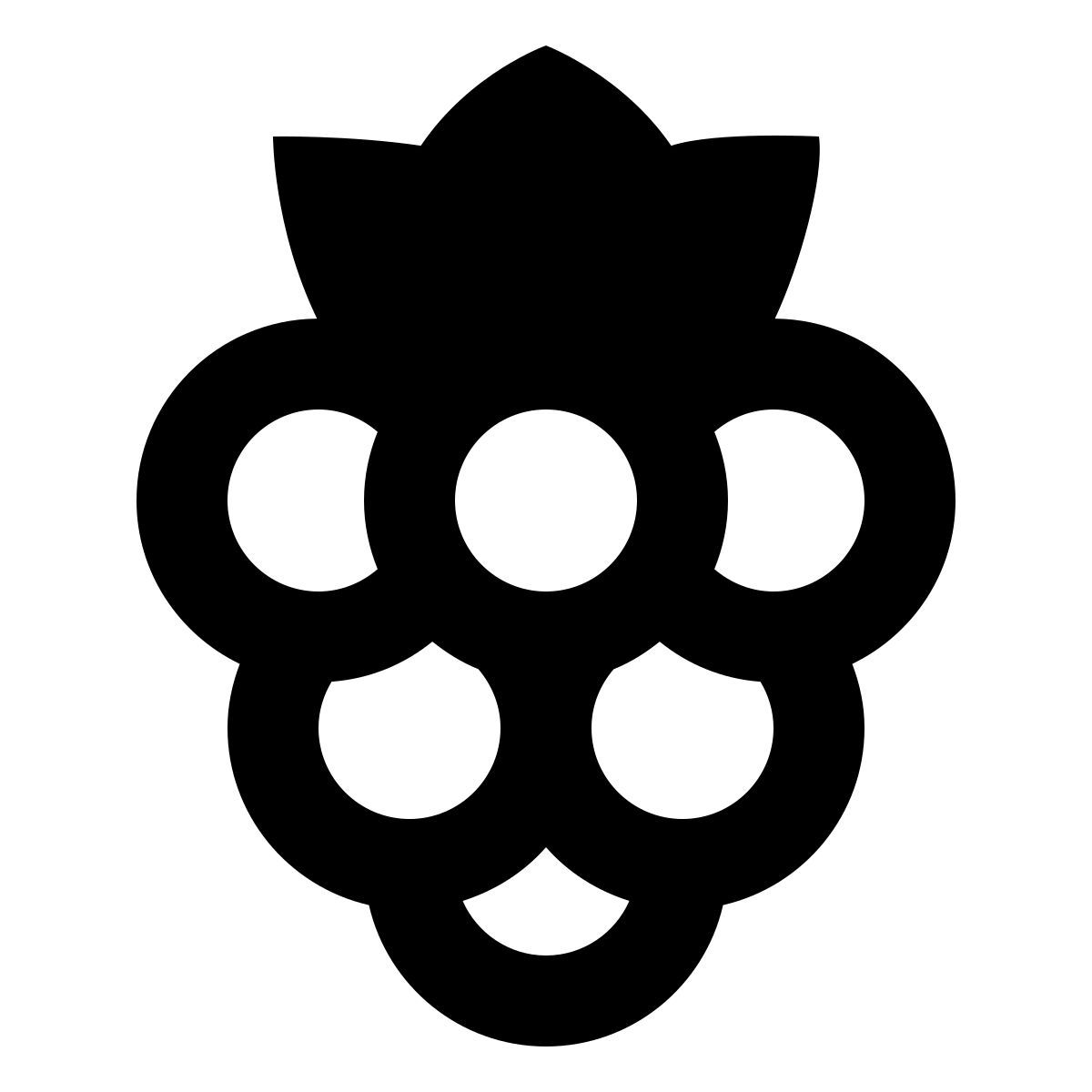 forma bold filled sharp style 산딸기 icon