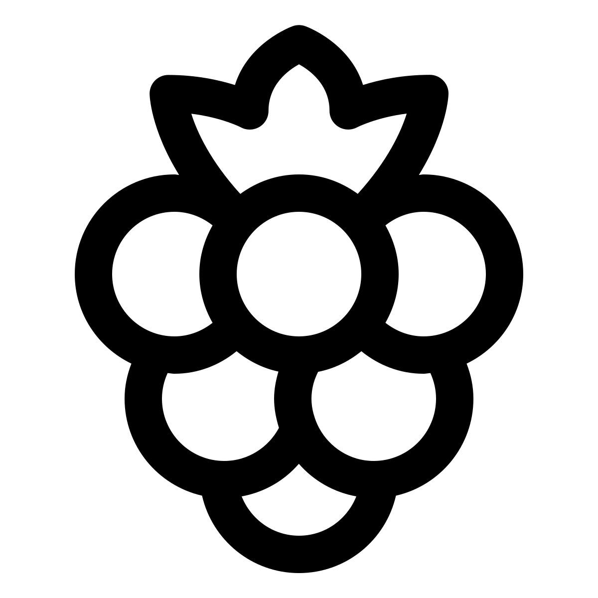 forma light style 산딸기 icon