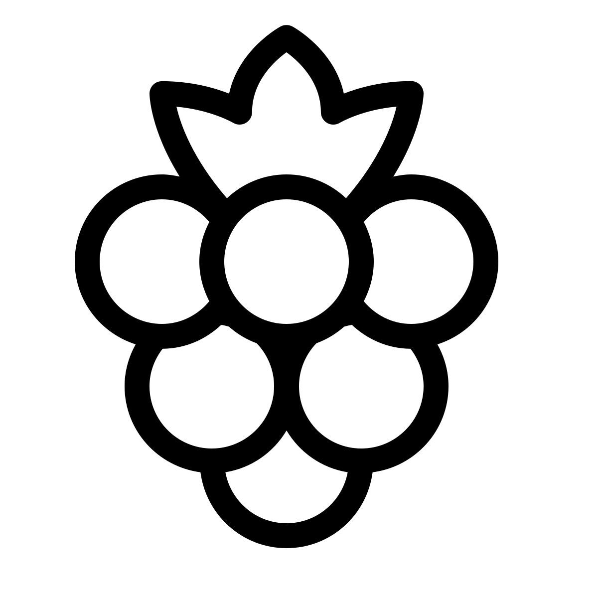 forma thin style raspberry icon